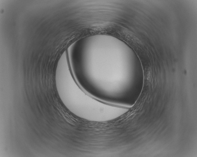 X0000073510868200607310915