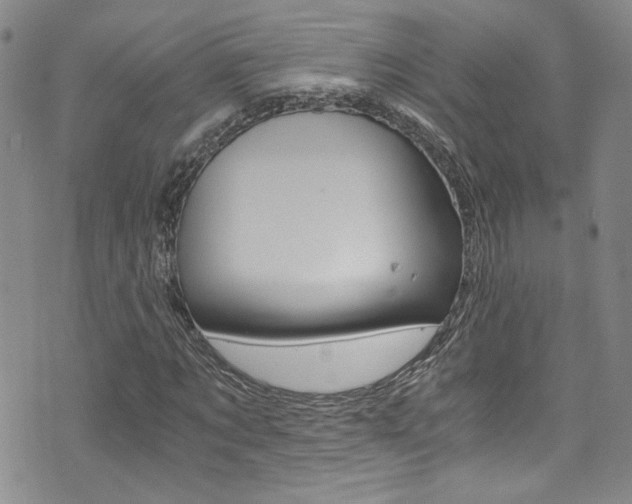 X0000073510869200607310915