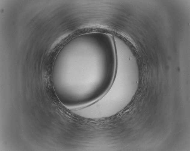 X0000073510872200607310915
