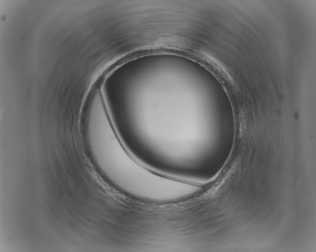 X0000073510876200607310915
