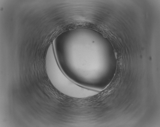X0000073510916200607310914