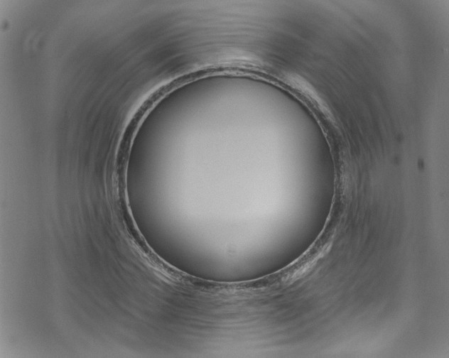 X0000073510924200607310914