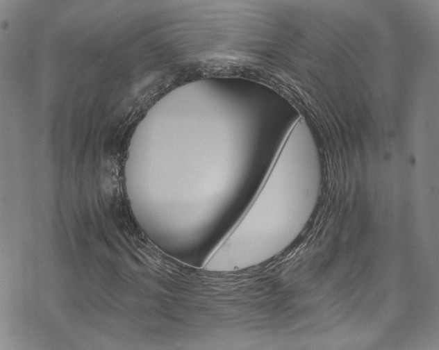 X0000073510964200607310914