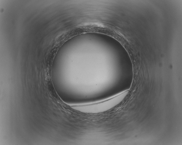 X0000073510965200607310914