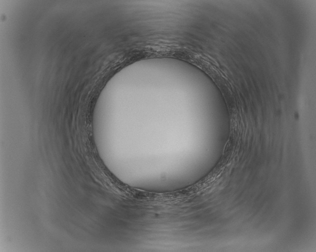 X0000073511009200607310912