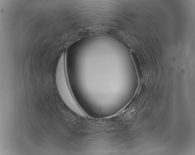 X0000073511010200607310912
