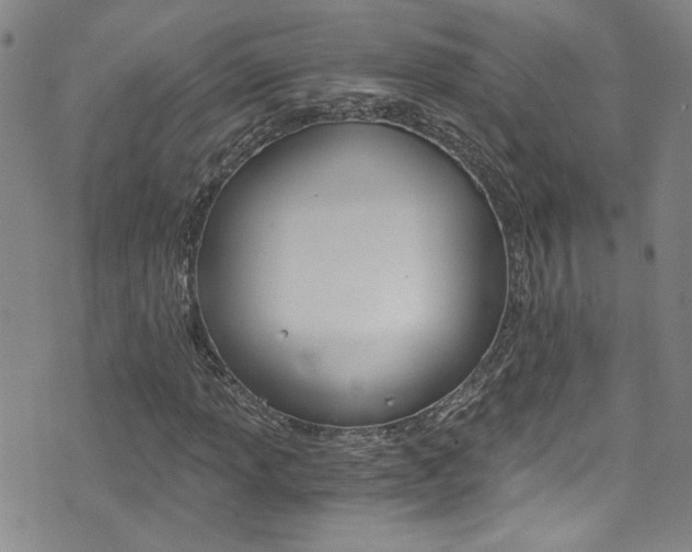 X0000073511013200607310912