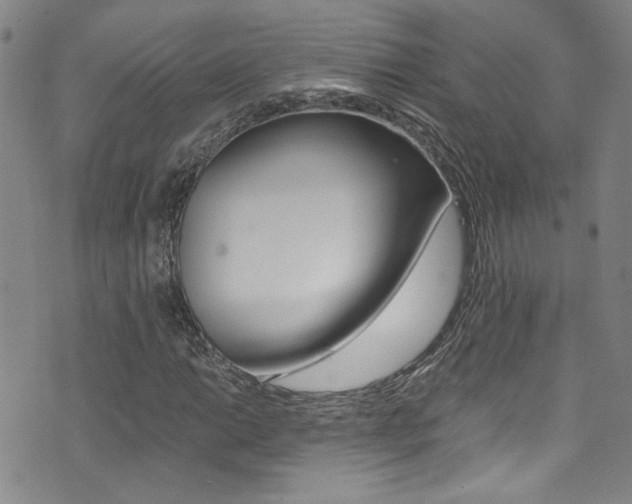 X0000073511014200607310912