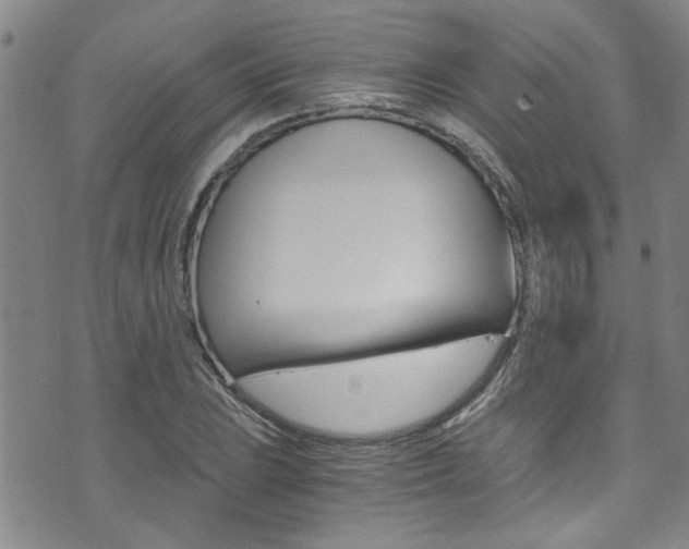 X0000073511023200607310912