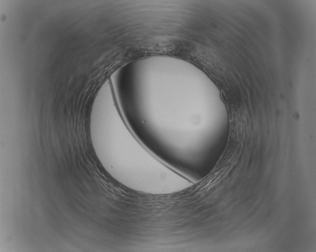 X0000073511058200607310912