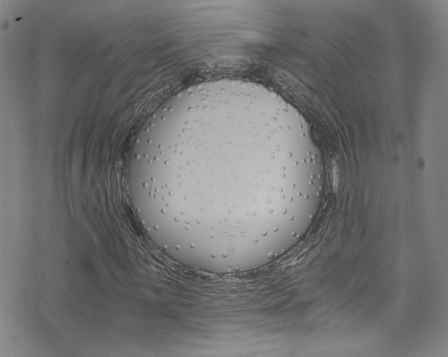 X0000073511059200607310912