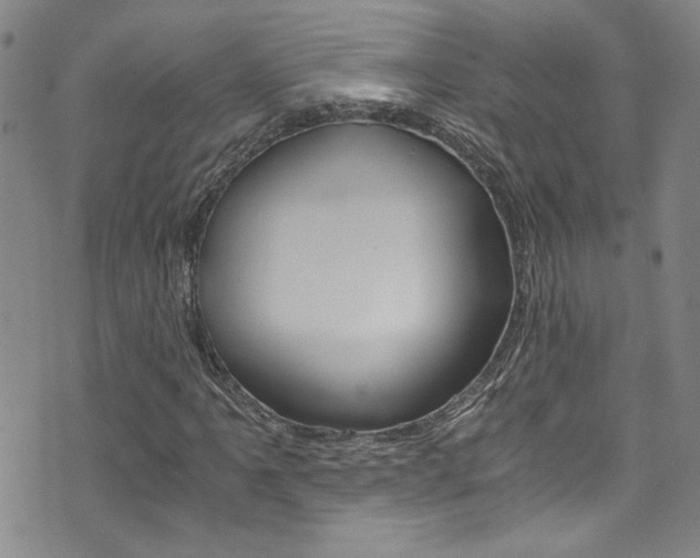 X0000073511061200607310912