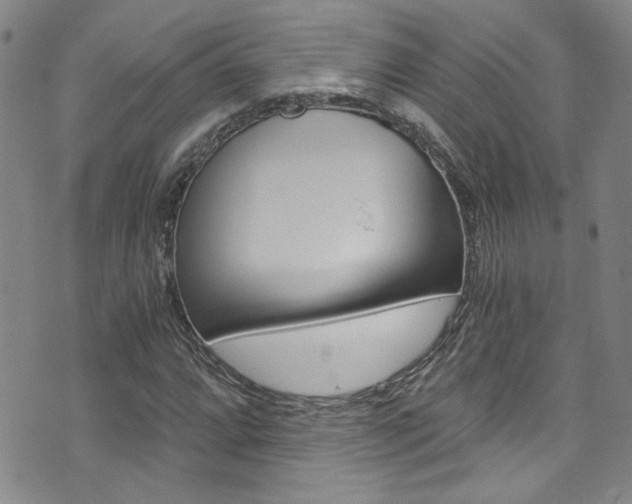 X0000073511064200607310912