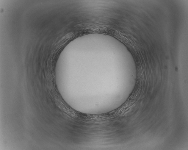 X0000073511105200607310911