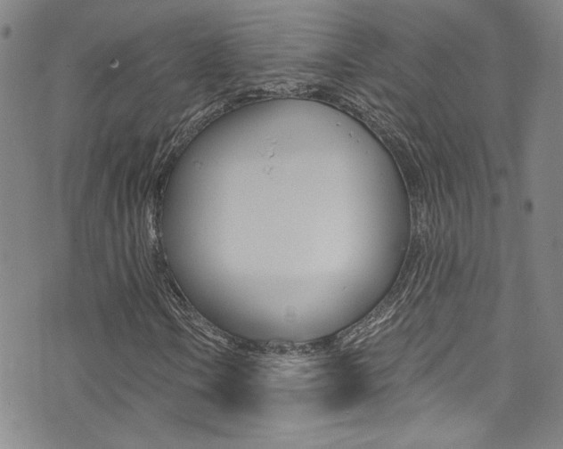 X0000073511106200607310911