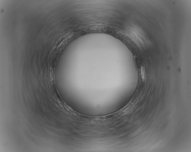 X0000073511107200607310911