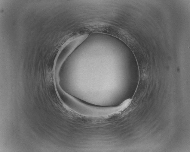 X0000073511108200607310911