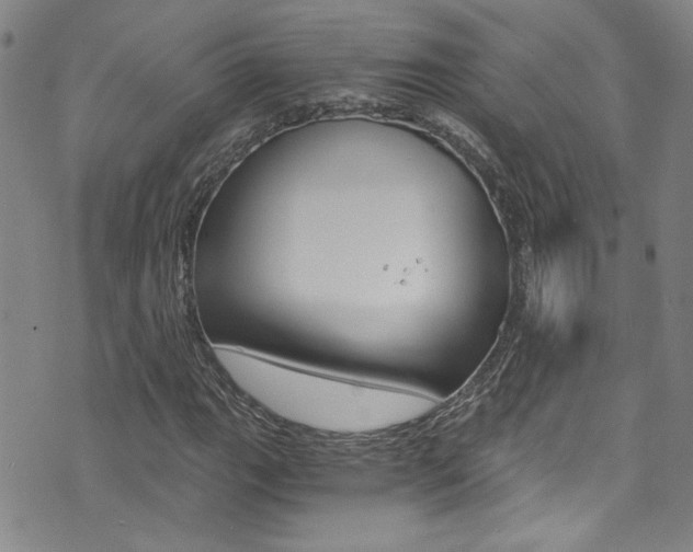 X0000073511111200607310911