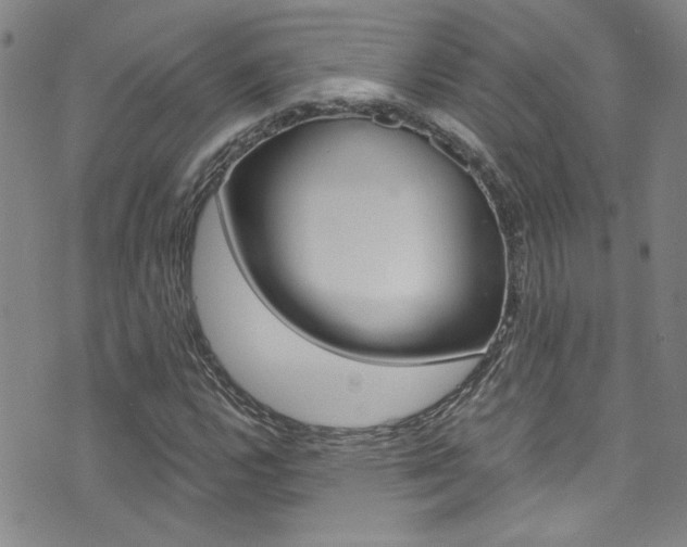 X0000073511112200607310911