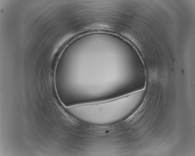 X0000073511115200607310911