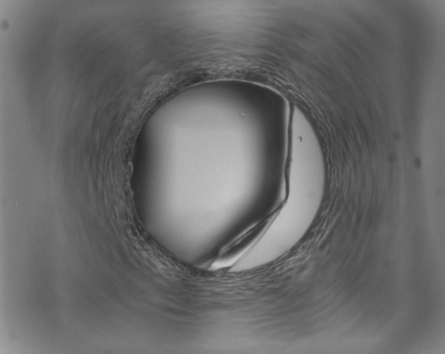 X0000073511153200607310911