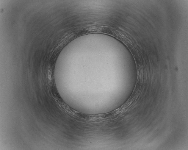 X0000073511154200607310910