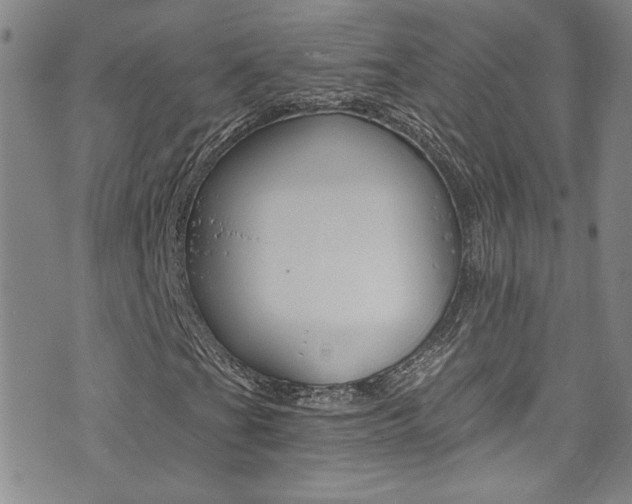 X0000073511201200607310909