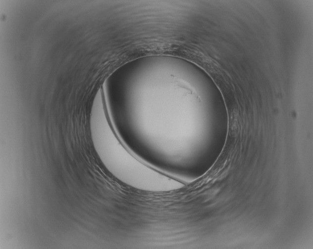 X0000073511202200607310909