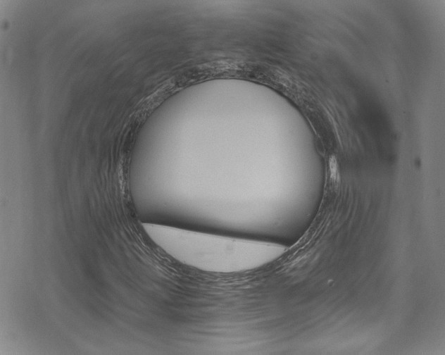 X0000073511203200607310909