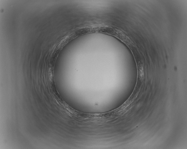 X0000073511204200607310909