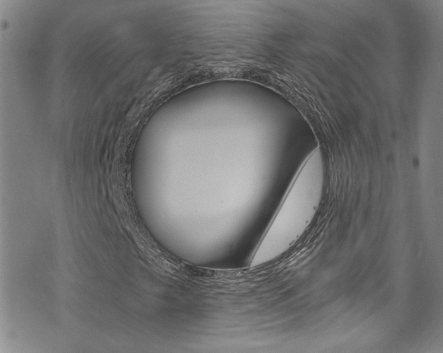 X0000073511249200607310909