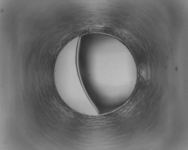 X0000073511252200607310909