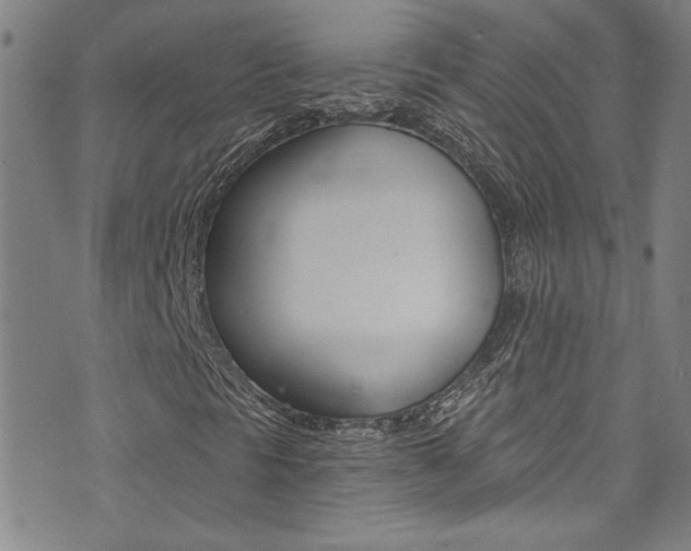 X0000073511297200607310907