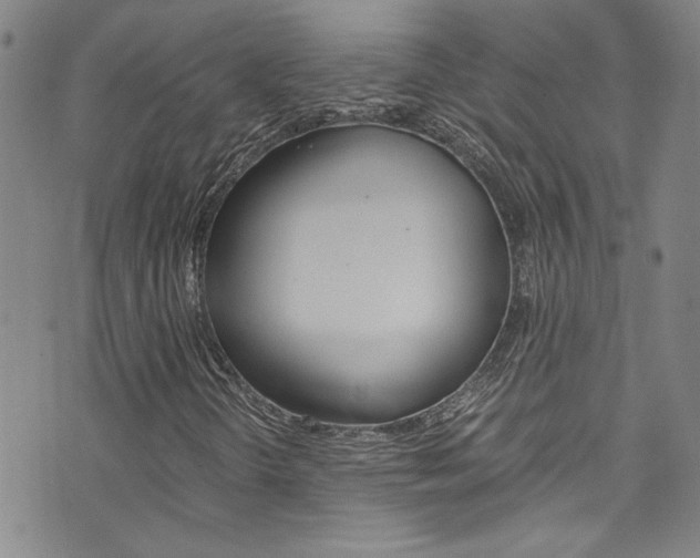 X0000073511298200607310907