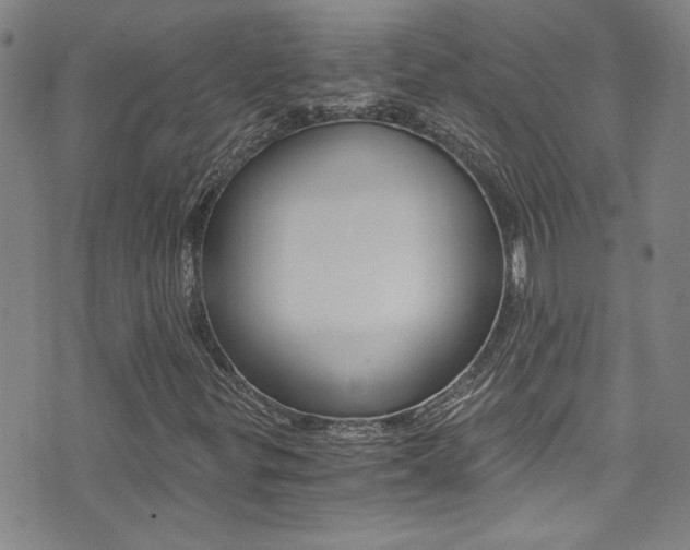 X0000073511299200607310907