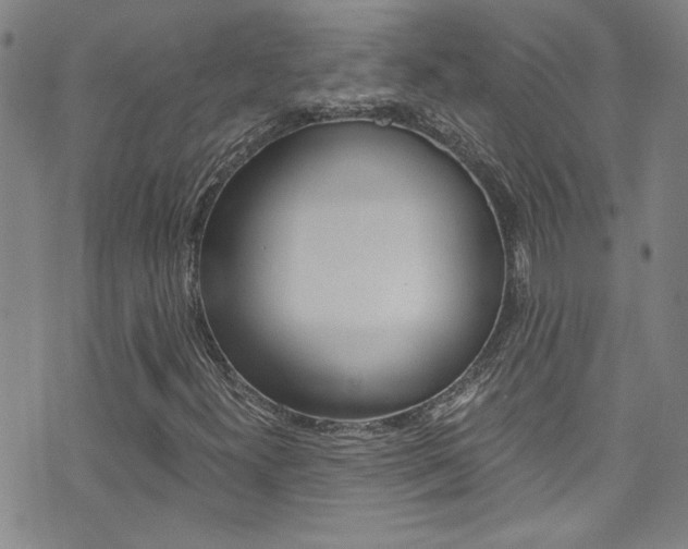 X0000073511300200607310907