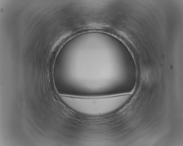 X0000073511307200607310908