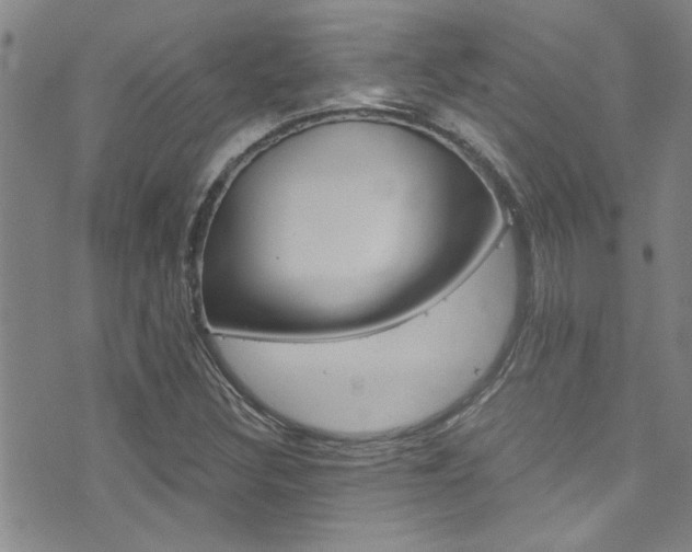 X0000073511308200607310908