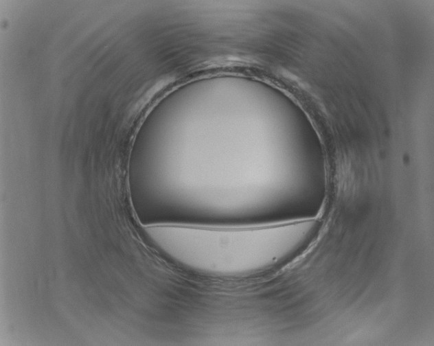 X0000073511313200607310908