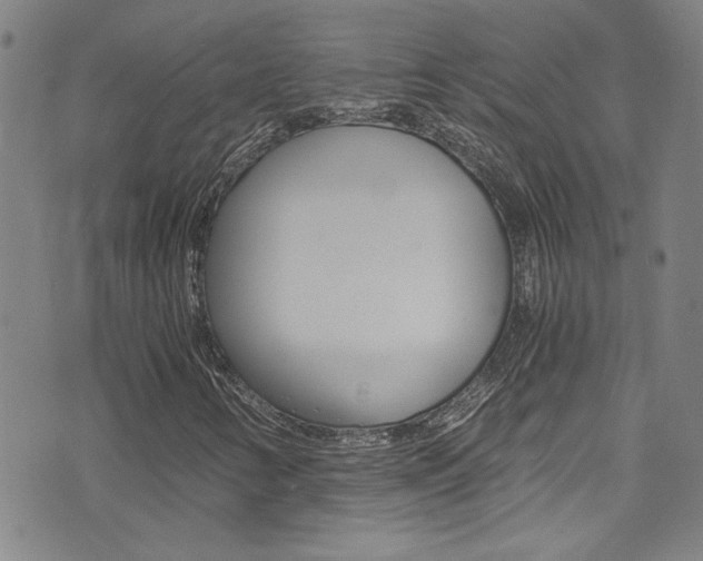 X0000073511346200607310907