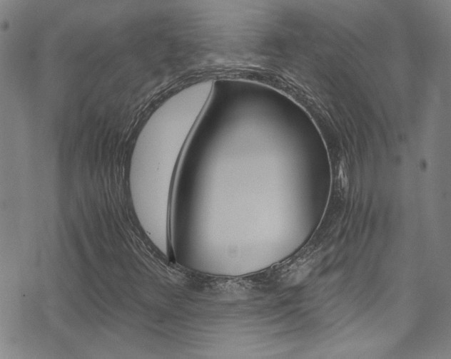 X0000073511348200607310907