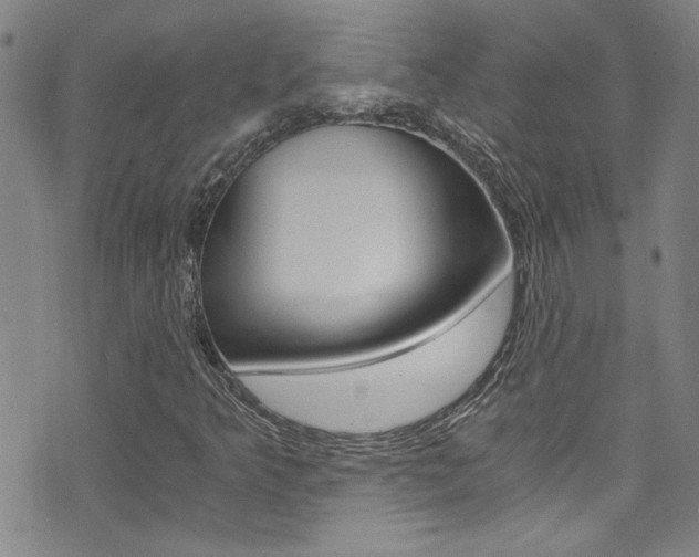 X0000073511349200607310907