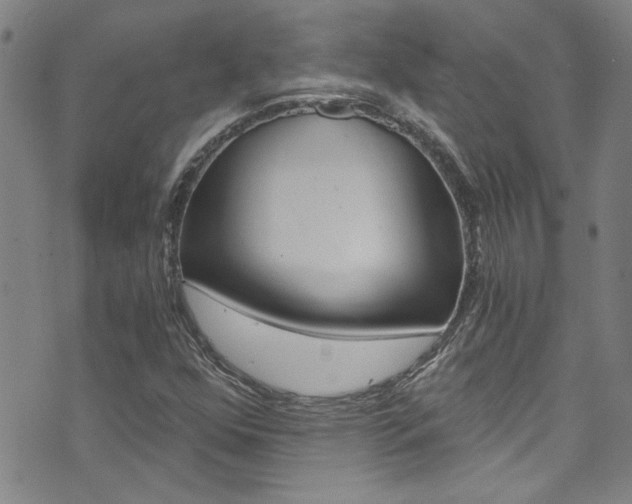 X0000073511352200607310907