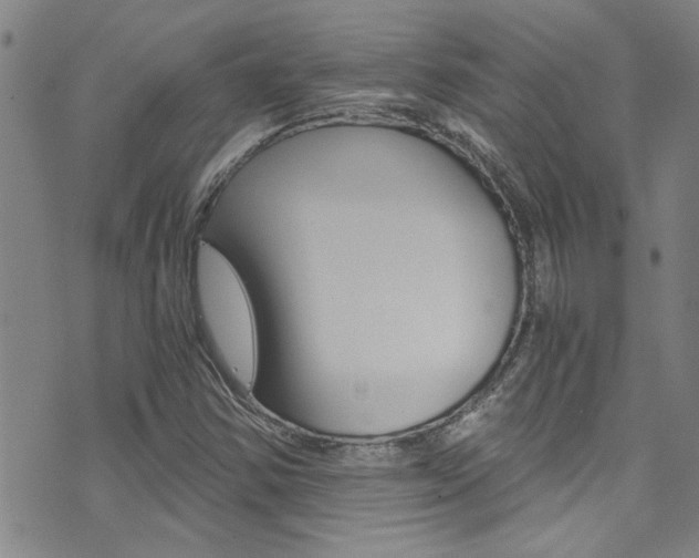X0000073511354200607310907