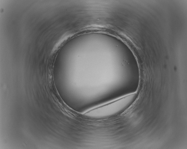 X0000073511355200607310907