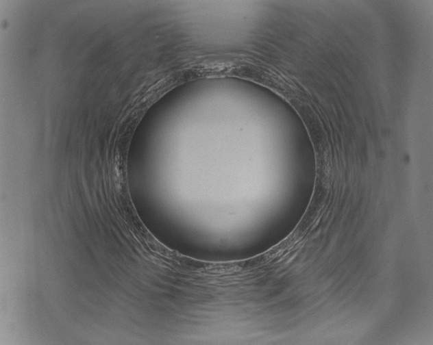 X0000073511394200607310906
