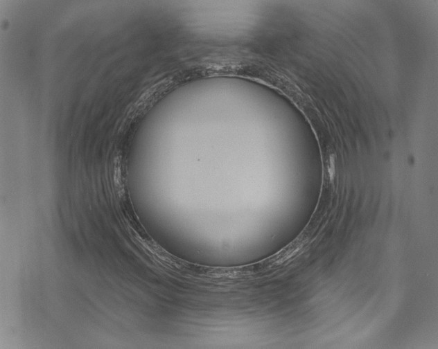 X0000073511396200607310906