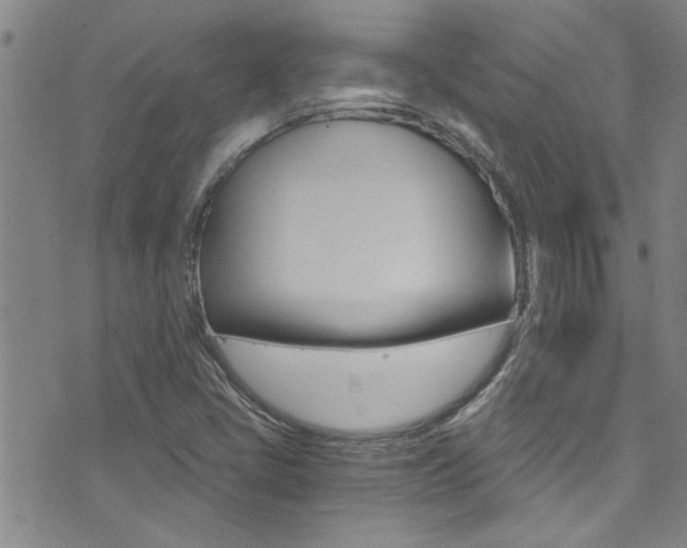 X0000073511405200607310906