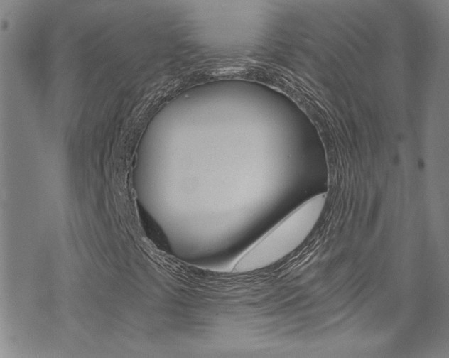 X0000073511441200607310906