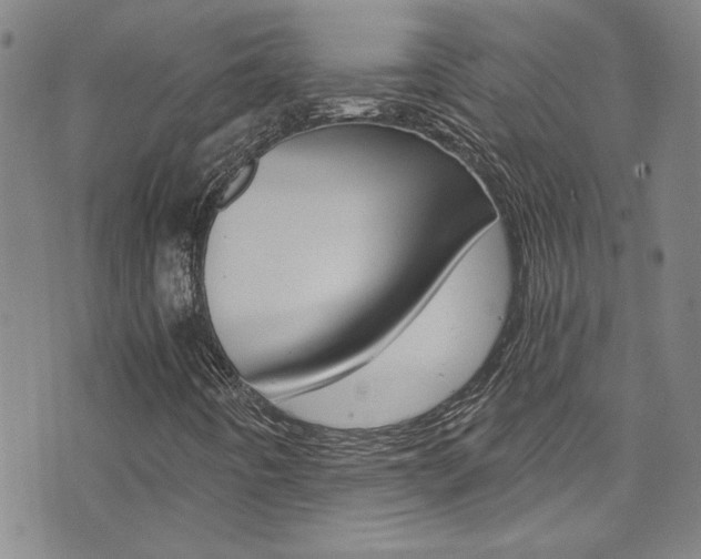 X0000073511442200607310906